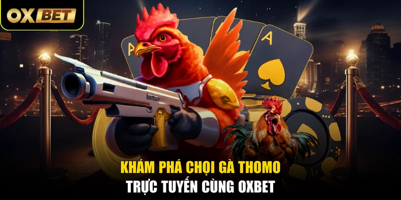 Khám phá chọi gà Thomo trực tuyến cùng OXBET
